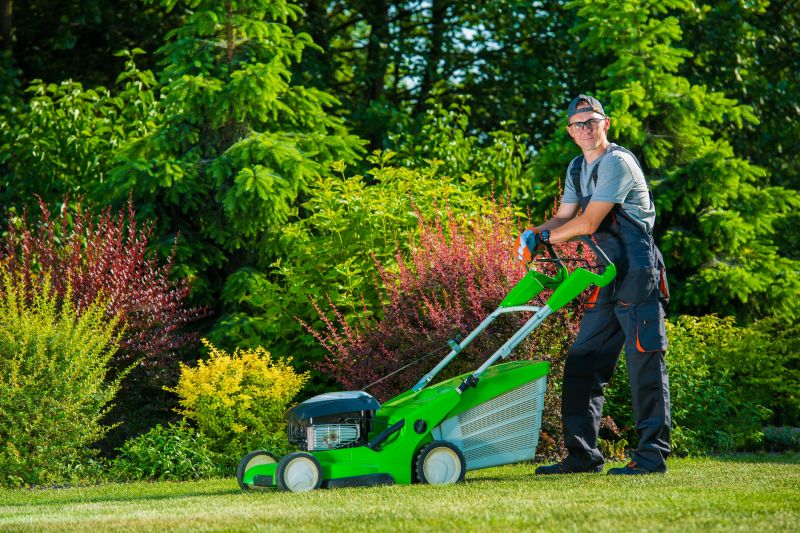 Local Yard Maintenance Services