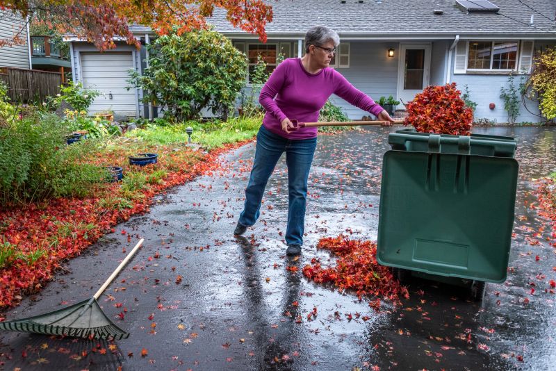 Fall Yard Clean Ups
