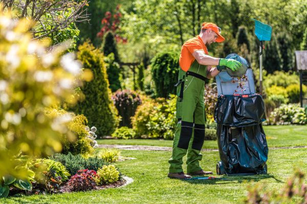 Backyard Cleaning