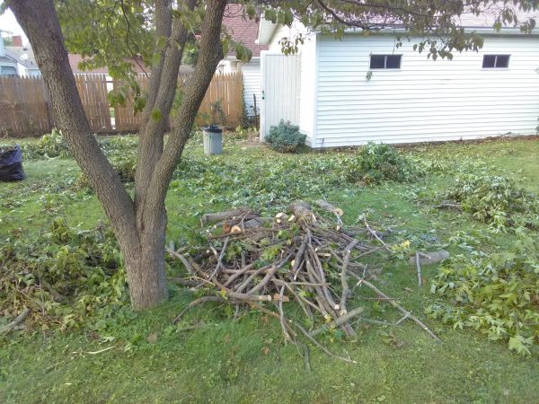 Spring Yard Clean Up